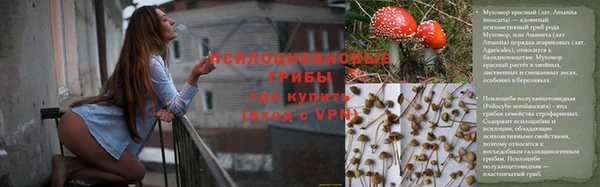 прущие крисы Арсеньев
