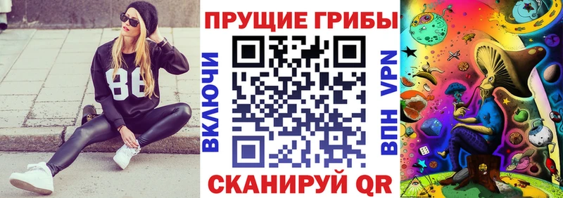 купить закладку  kraken зеркало  Галлюциногенные грибы Cubensis  Таштагол 